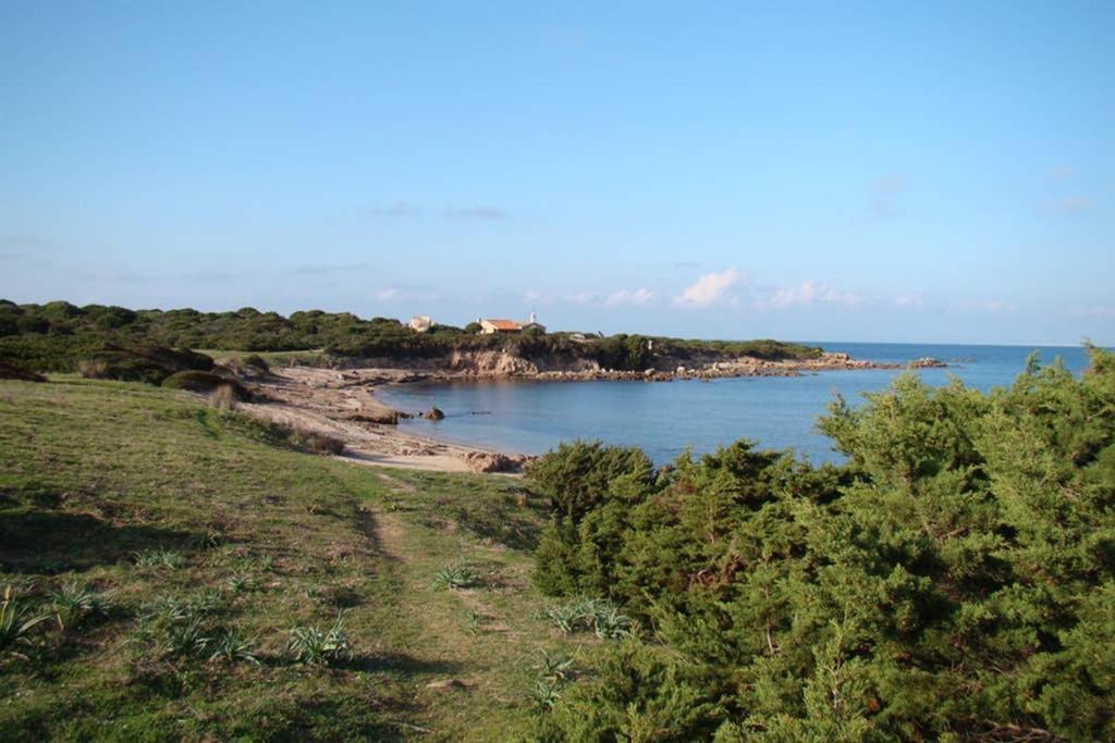 Bella Casa Con Giardino A 10 Minuti Dal Mare Apartment Aglientu Luaran gambar